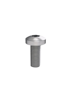 Винт М5х12 под шлиц Torx, 100 шт. РАМ Пауэр (RAM power)